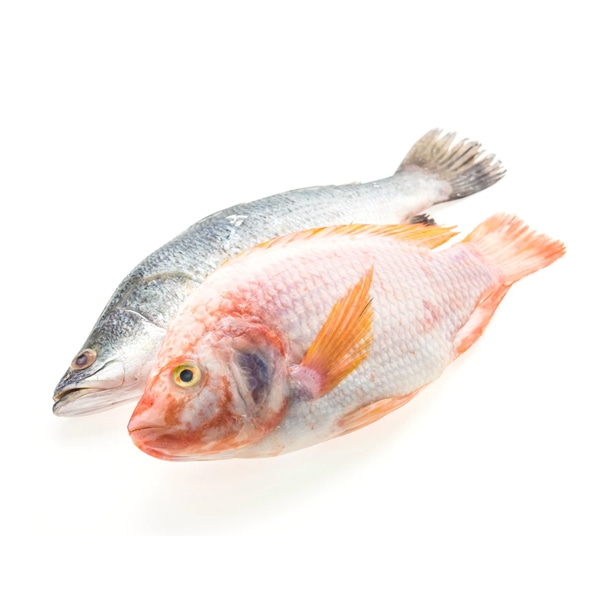 Encore Seafoods Stuffed the occasional - Image 3